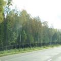 Strassen nach Jelgava (100_0049.JPG) Riga Lettland Baltikum
